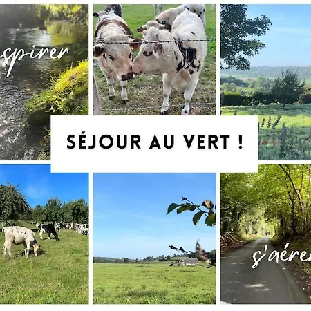 Appartement Sunny&chill - Les Canaux De *